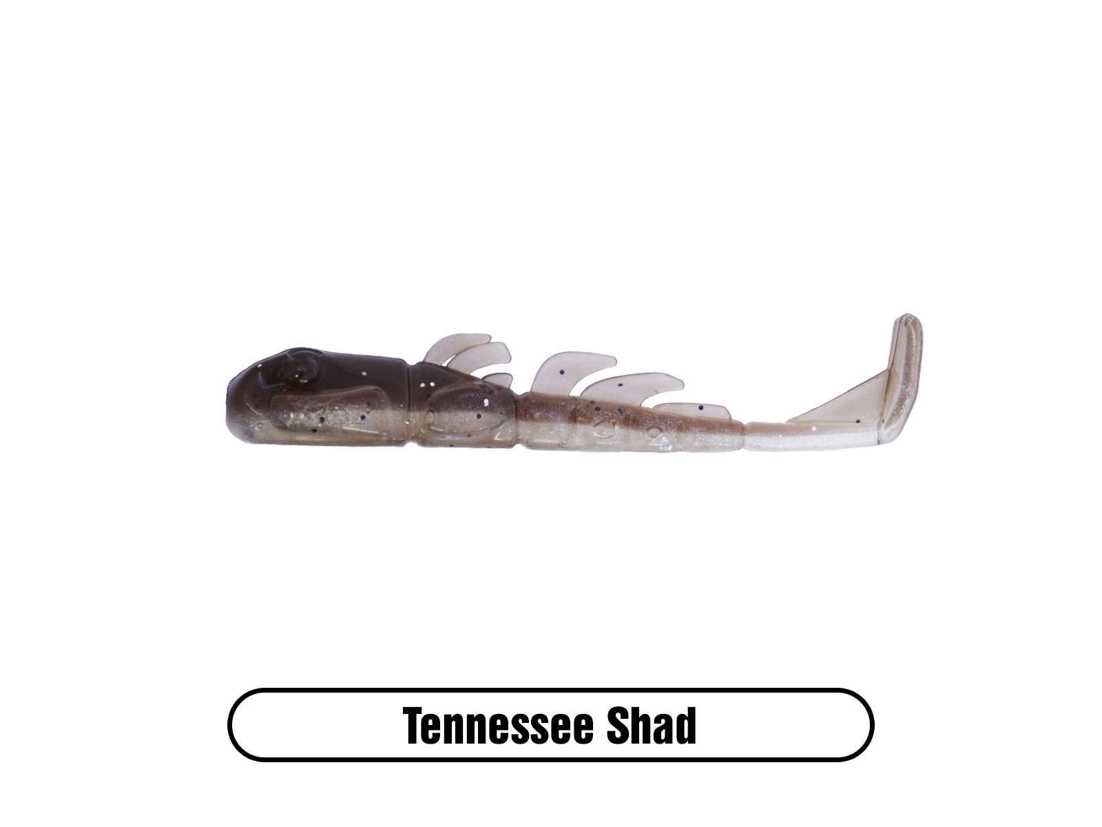 Stealth Invader Tennesse Shad