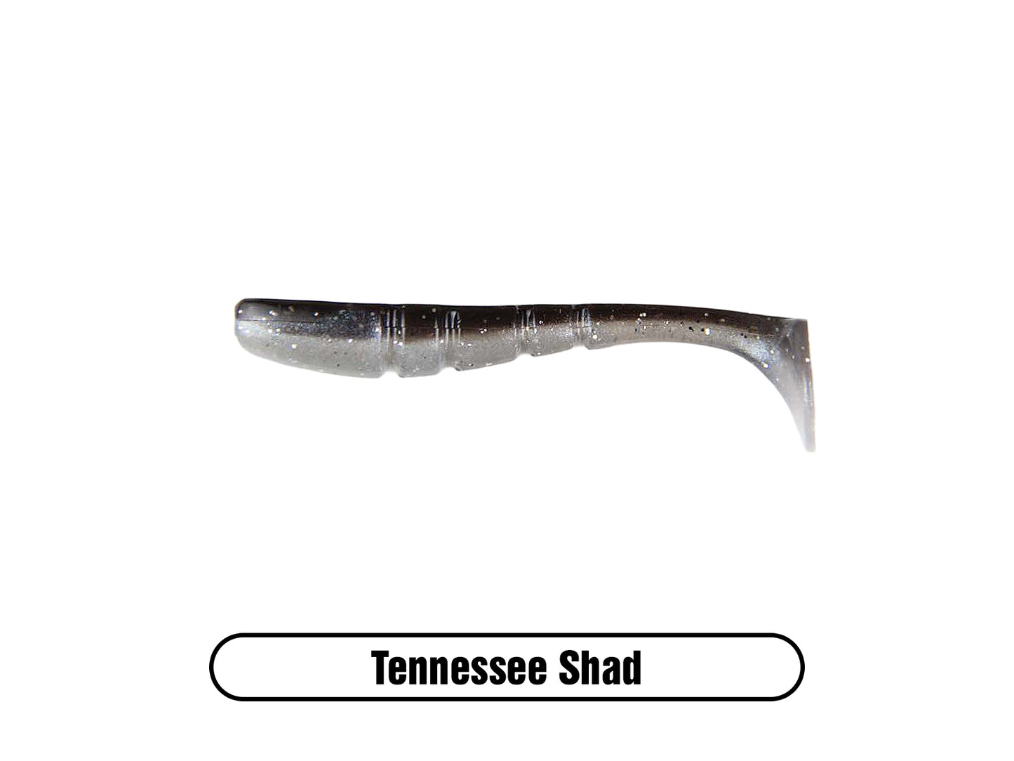 Swammer 3.5" (8 Pack)