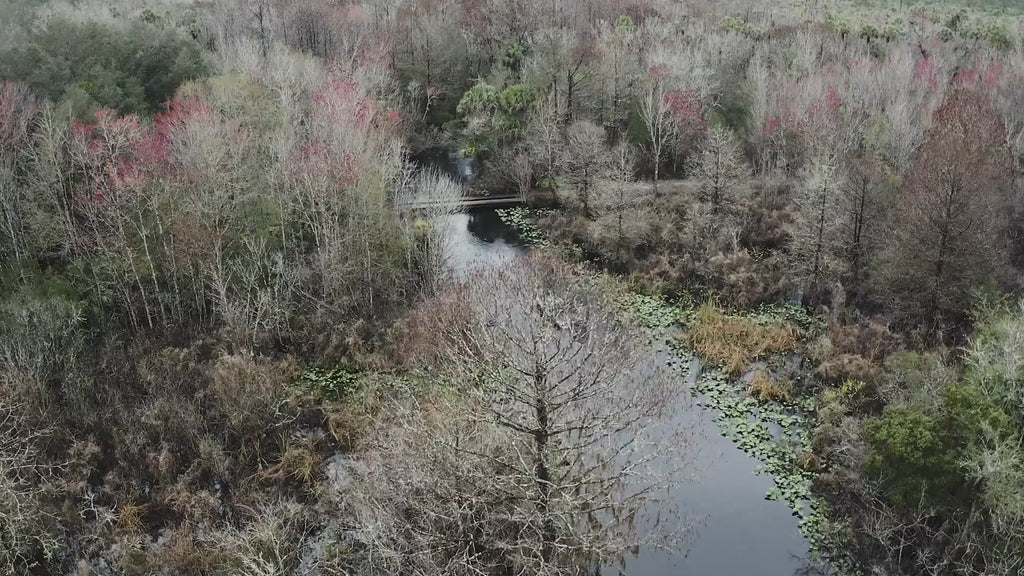 True Center Stick 5" (8 Pack)