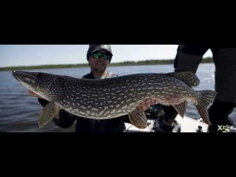 WATERRAMPAGE SWAMIS 5’10 HARD BOTTOM Swammer 5.5