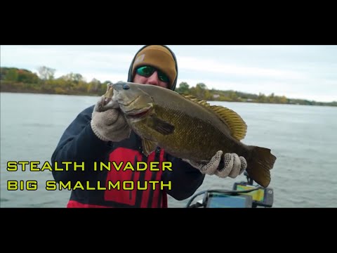 Stealth Invader, X Zone Lures, New Bait