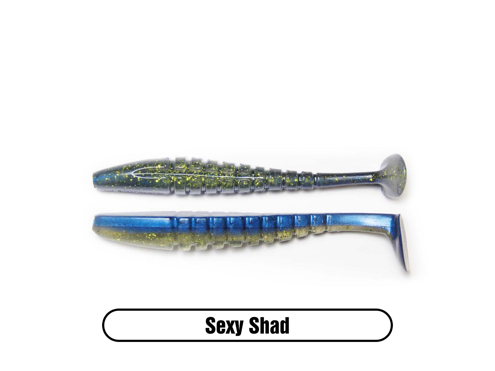 Fishing Lure Kit Soft & Hard Body Tackle for All Species Variety