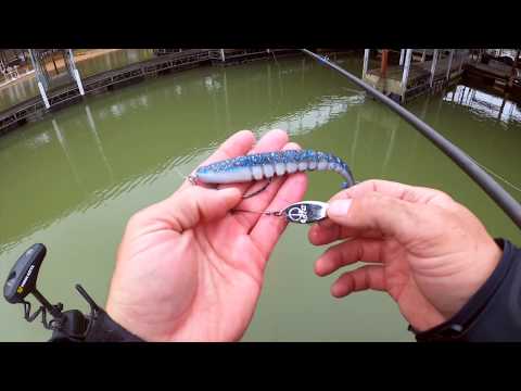Brandon Palaniuk talks about the Mega Swammer by X Zone Lures, a soft plastic swimbait used for Bass Fishing
